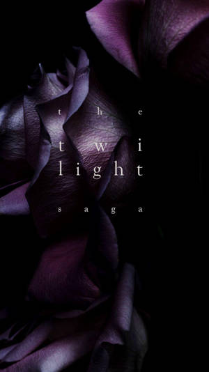 深紫色玫瑰，上面覆蓋著 'the twilight saga' 文字。