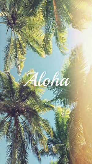 棕櫚樹在明亮的陽光下搖曳，藍天背景上帶有Aloha文字