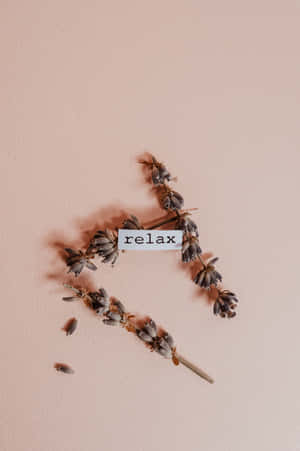 乾燥薰衣草排列成心形，帶有 relax 標籤，背景為桃色