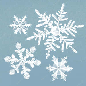 在藍色霜凍背景上的四個獨特雪花設計。 — 雪花 壁紙