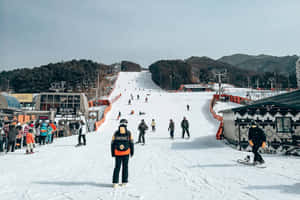 滑雪者和單板滑雪者在有滑雪纜車和森林覆蓋山丘的雪山坡上。