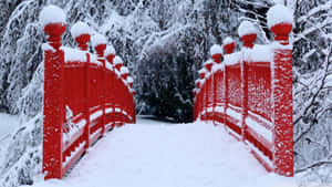 在雪地森林中，一座被雪覆蓋的紅色木橋。