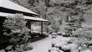 雪覆蓋了傳統的日本花園和冬季的木屋。