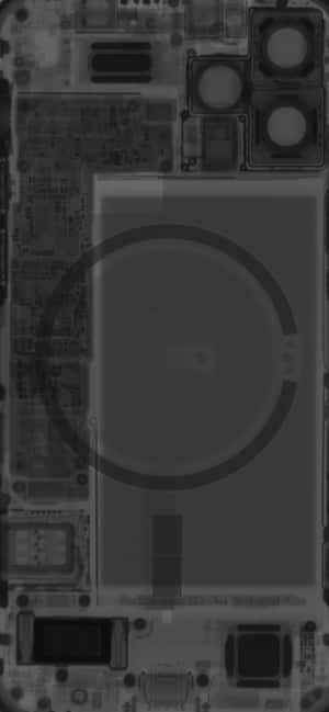 智能手機X光掃描顯示內部組件和相機模組。