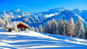 明亮的藍天下，松樹環繞的雪中山間小屋。