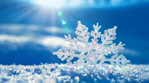 一片細節豐富的雪花躺在雪上，陽光穿過藍天照耀。