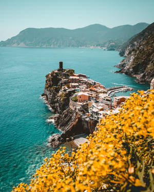 懸崖上的沿海村莊，碧綠色的海洋和前景的黃色花朵