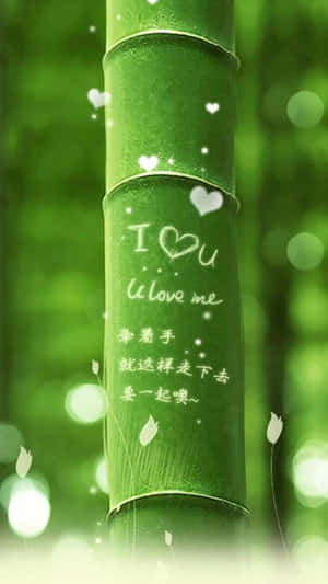 在柔和的綠色森林場景中，帶有愛情訊息和心形的竹莖。