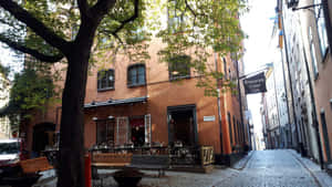 狹窄鵝卵石街道，有咖啡館和樹木，城市環境 — 高對比 壁紙