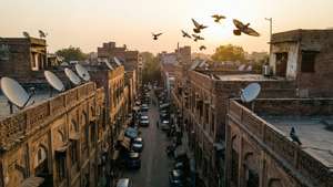 夕陽下的狹窄街道，有磚砌建築和飛翔的鴿子