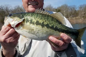 男子手持在湖中釣到的大鱸魚
