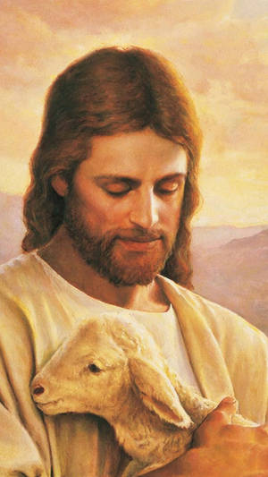 耶穌以溫柔的眼神和溫暖的金色光芒懷抱羔羊。 — 耶穌基督 壁紙