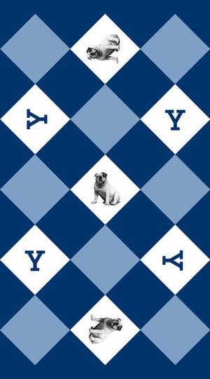 帶有八哥犬和Y字母的藍白菱形圖案。