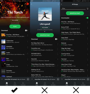 Spotify 音樂應用程式畫面，包含播放清單和藝人頁面。