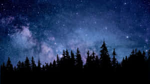 在充滿活力的繁星夜空下，帶有銀河的深色松林剪影。