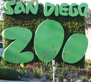 綠色SAN DIEGO ZOO標誌，背景為樹籬和沙漠植物。