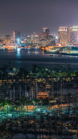 城市天際線和碼頭的夜景，有船隻和棕櫚樹。