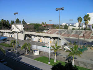 空蕩蕩的混凝土體育場，設有紅色座位和棕櫚樹，在清澈的藍天下。