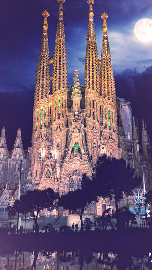Sacred heart cathedral 在滿月下夜間被照亮，有樹木剪影和水面倒影。