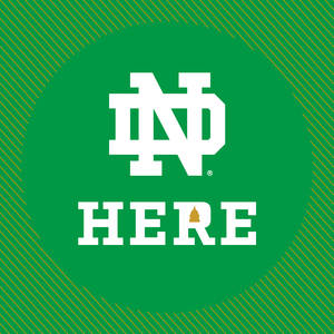 Notre Dame標誌搭配HERE文字，綠色背景上有金色條紋。