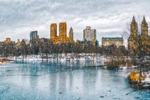 雪覆蓋了中央公園結冰的湖面，光亮的城市建築在光禿樹木後方。