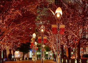 夜晚的城市街道，樹木覆蓋著紅燈和發光的街燈。