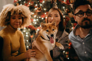 一個快樂的家庭和一隻柴犬在裝飾好的聖誕樹前擺姿勢。
