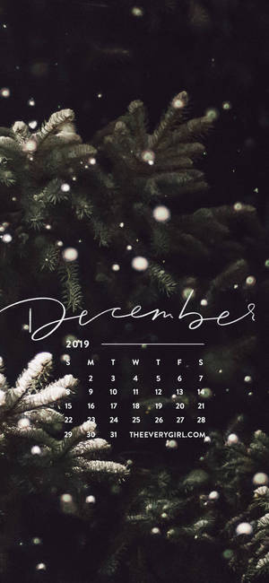 2019年12月日曆疊加在夜間積雪的松樹枝條上。