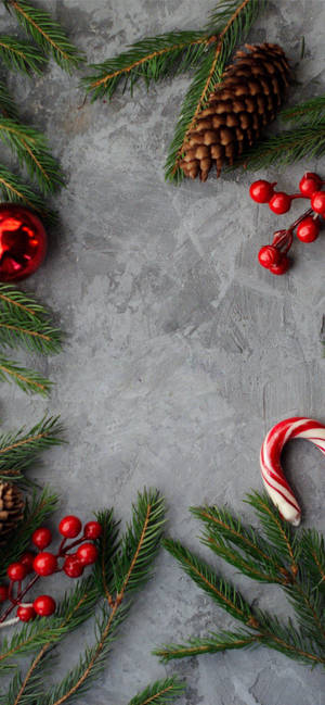 聖誕裝飾，包括松樹枝、松果、紅莓和拐杖糖，在灰色混凝土上。