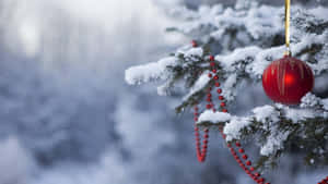 沾滿雪花的松樹枝，配有紅色裝飾球和珠串