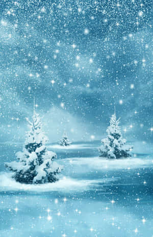 白雪覆蓋的松樹在閃爍的冬日天空下。