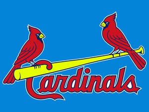 藍色背景上，黃色球棒上有兩隻紅色主教鳥和「Cardinals」文字。