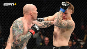 兩名紋身MMA拳手在鐵籠中互相出拳。