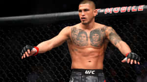 八角籠內胸口有紋身的UFC拳手。