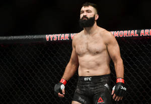一位留鬍子、赤裸上身的MMA選手站在UFC八角籠內。