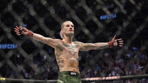 UFC拳手在八角籠內舉起雙臂慶祝勝利。