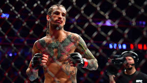 比賽活動期間八角籠內有紋身的MMA拳手 — 紋身 壁紙
