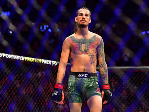 一位身穿UFC裝備的紋身MMA選手站在八角籠中，在場館燈光下。