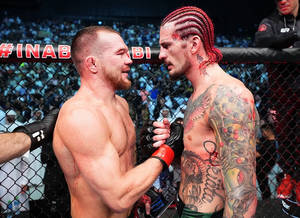 兩名男性MMA拳手在八角籠內交戰。