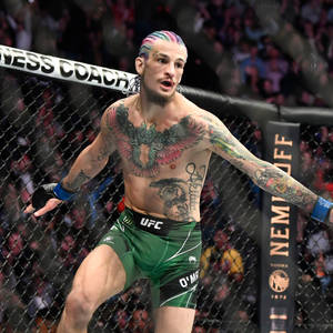 色彩繽紛頭髮和紋身的MMA選手在UFC八角籠中慶祝勝利。 — 紋身 壁紙
