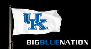 肯塔基野貓旗幟飄揚，下方有'BIGBLUE NATION'文字。