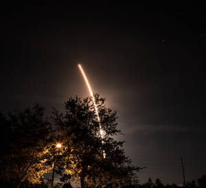 火箭發射到剪影樹木和街燈上方的夜空。 — 樹 壁紙