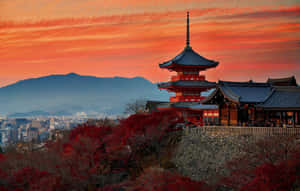 日本風景