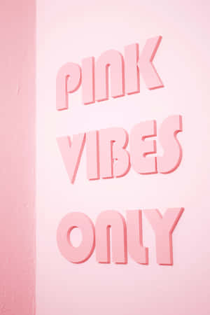 粉紅色3D字母在粉紅色牆上寫著pink vibes only。