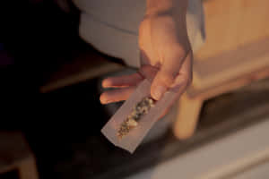 手拿著一支裝有乾燥草藥的捲煙，在溫暖的金色光線中。