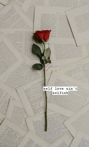 散落書頁上的紅玫瑰，帶有文字 self love ain't selfish。