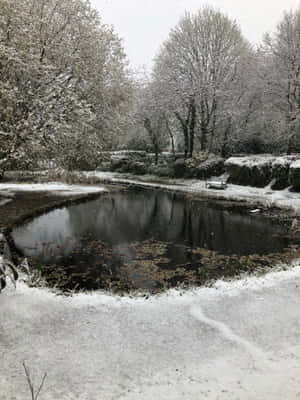 雪覆蓋了一個寧靜公園的池塘，有光禿禿的樹木和一條長椅。