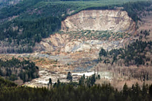大型山泥傾瀉撕裂了森林覆蓋的山脈，露出裸露的泥土和折斷的樹木。