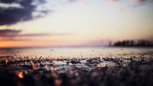 夕陽下，雨滴濺在濕地上，背景為模糊的水面。