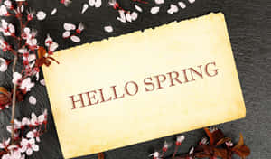 復古羊皮紙標誌寫著hello spring，周圍環繞著櫻花。